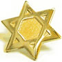 gold lapel pin